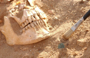 Армию Наполеона в России погубил не мороз