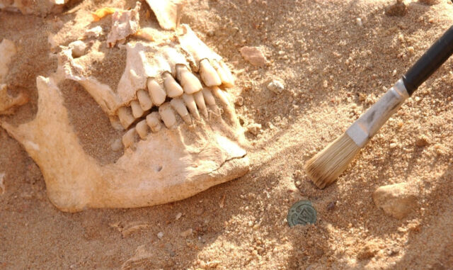 Армию Наполеона в России погубил не мороз