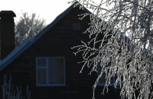 Специалист Коршунов рассказал о нюансах строительства загородного дома зимой