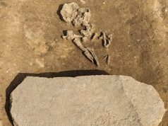 В Германии нашли могилу для зомби возрастом 4200 лет