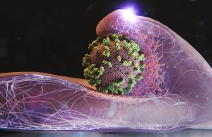 Новый микроскоп позволил ученым впервые увидеть, как вирус проникает в живую клетку