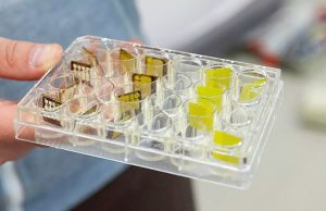 В УрФУ выяснили, как сделать датчики излучений долговечными