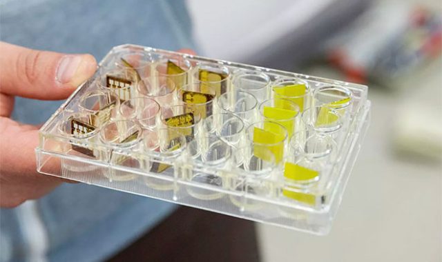 В УрФУ выяснили, как сделать датчики излучений долговечными