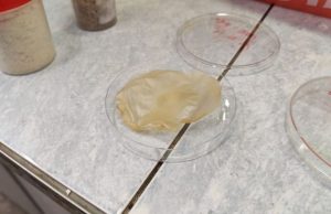 В Новосибирске придумали, как делать электроизоляцию из травы