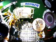 На китайской космической станции «Тяньгун» вывели бабочку в условиях невесомости