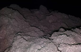 На астероиде Рюгу обнаружены все пять ключевых элементов для зарождения жизни