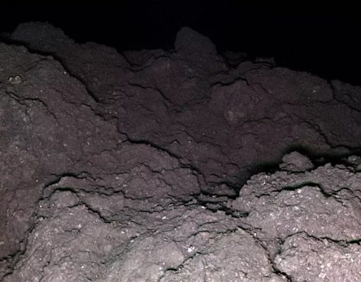 На астероиде Рюгу обнаружены все пять ключевых элементов для зарождения жизни