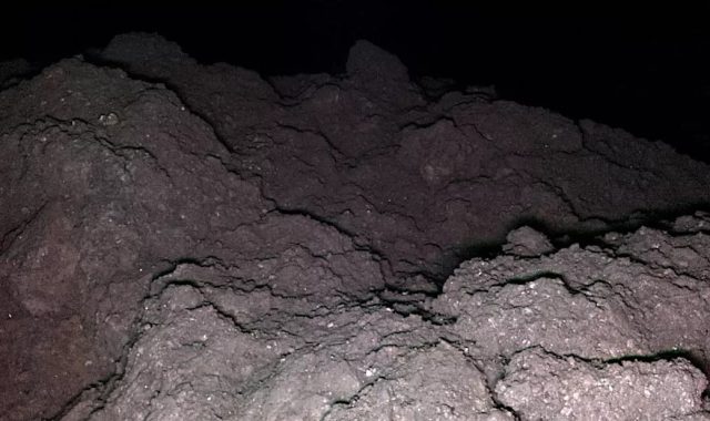 На астероиде Рюгу обнаружены все пять ключевых элементов для зарождения жизни