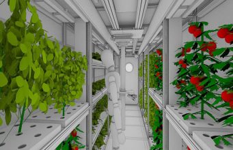 В России работают над овощным климатроном для марсианских миссий