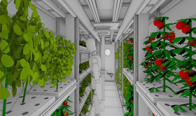 В России работают над овощным климатроном для марсианских миссий